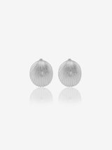Lustrous Clamshell Studs