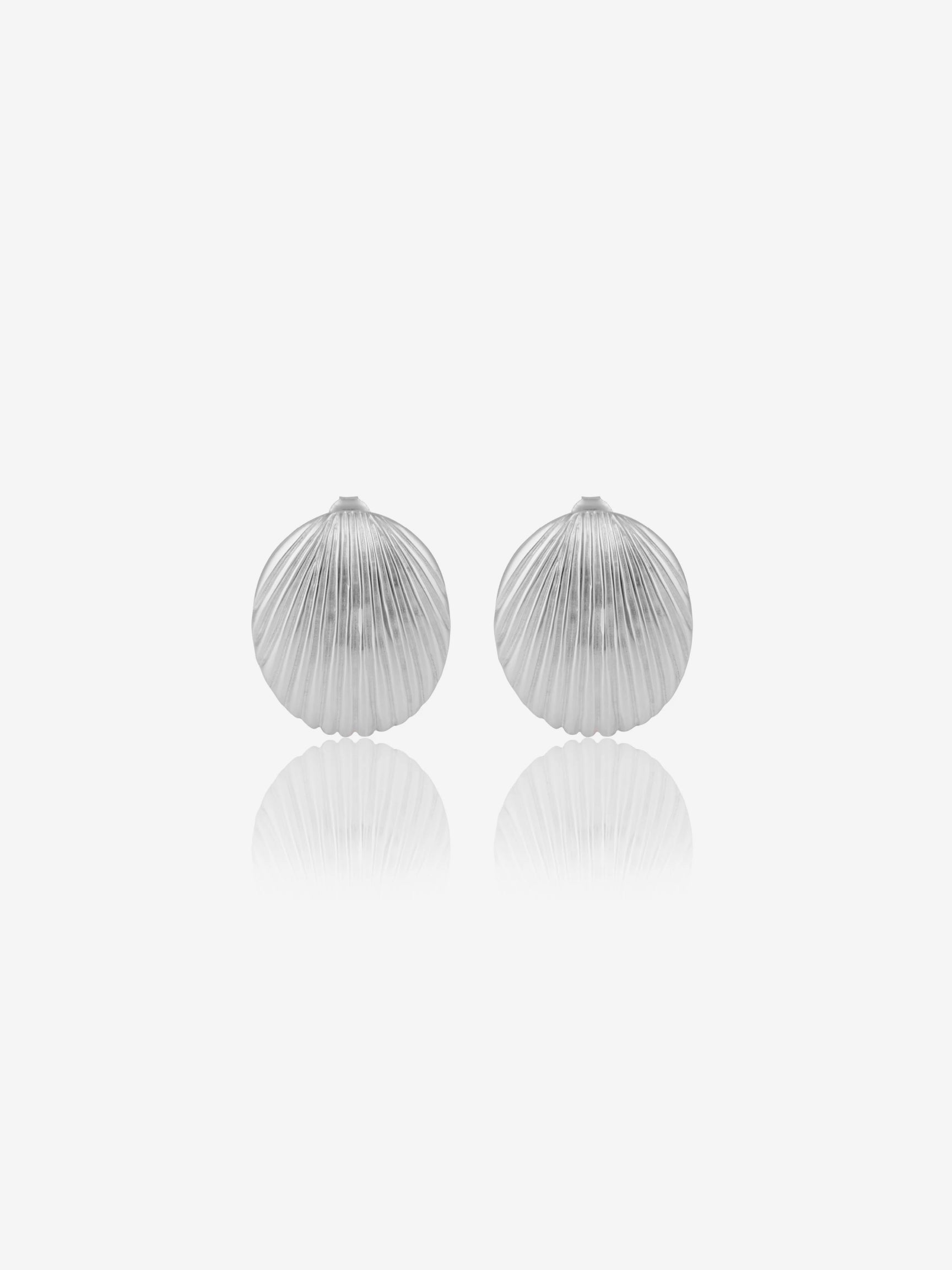 Lustrous Clamshell Studs