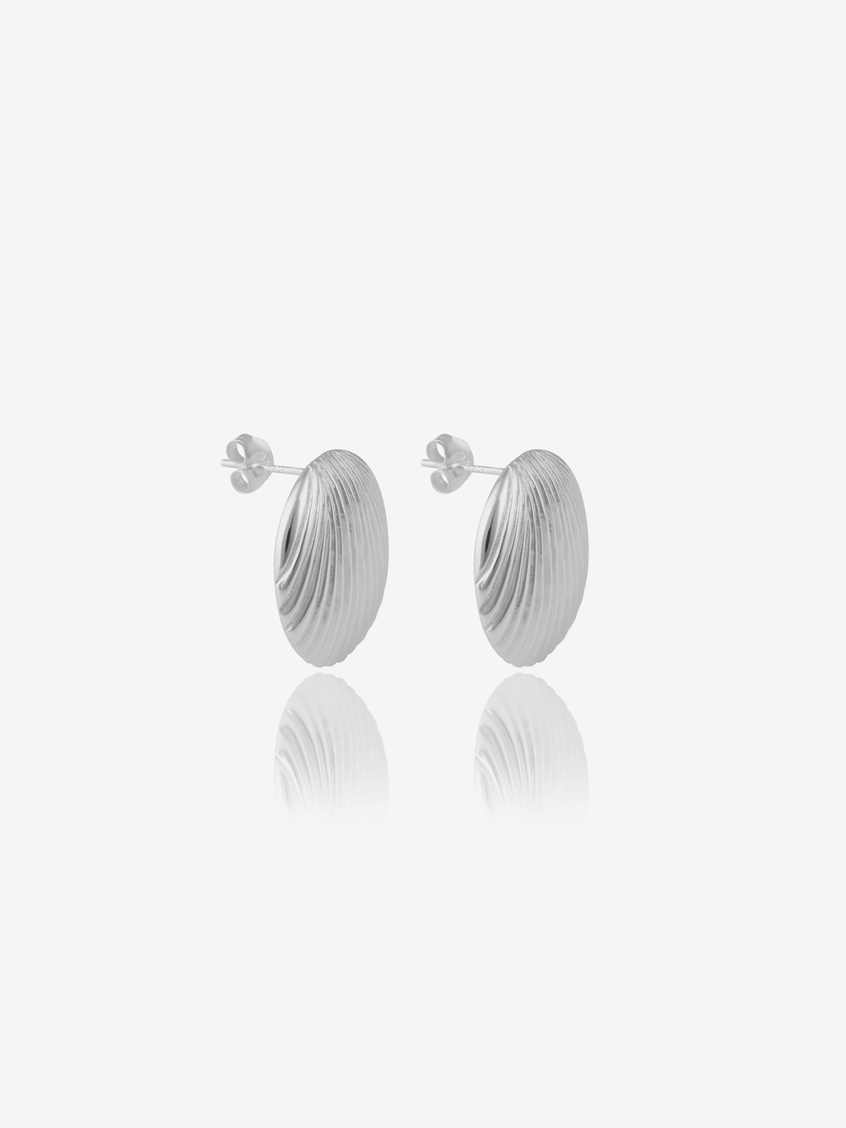 Lustrous Clamshell Studs