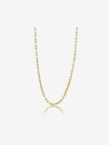Sleek Golden Link Necklace